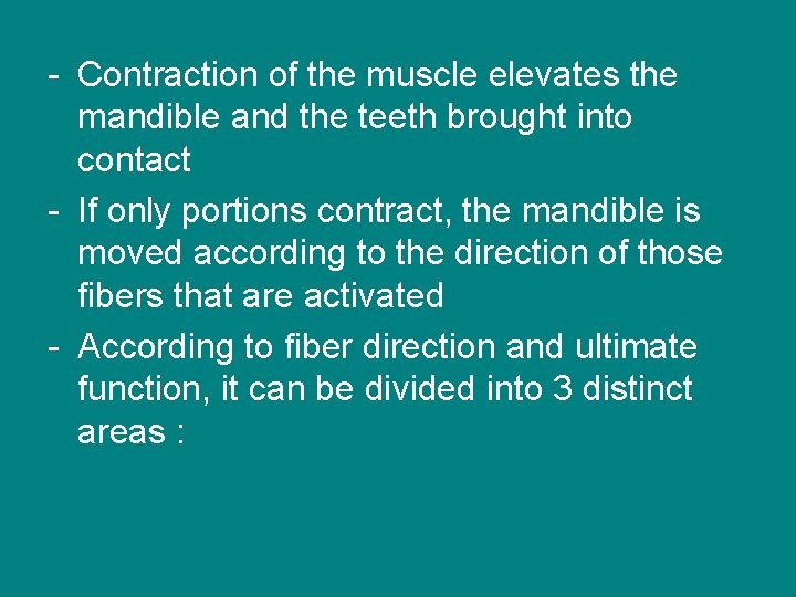- Contraction of the muscle elevates the mandible and the teeth brought into contact