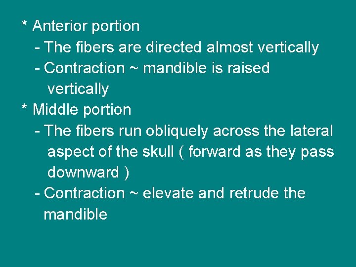 * Anterior portion - The fibers are directed almost vertically - Contraction ~ mandible