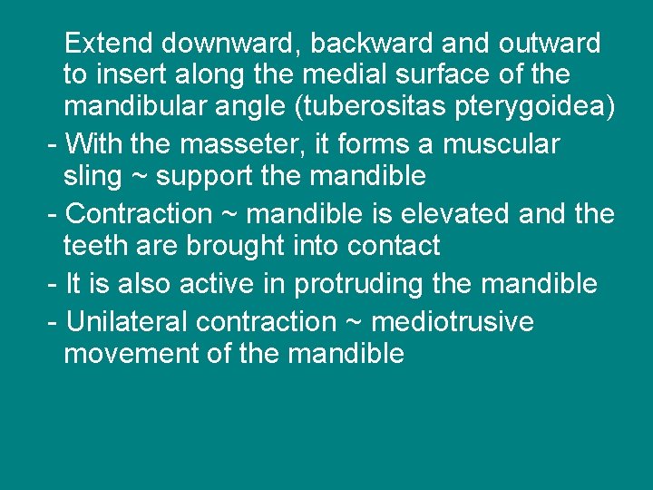 Extend downward, backward and outward to insert along the medial surface of the mandibular