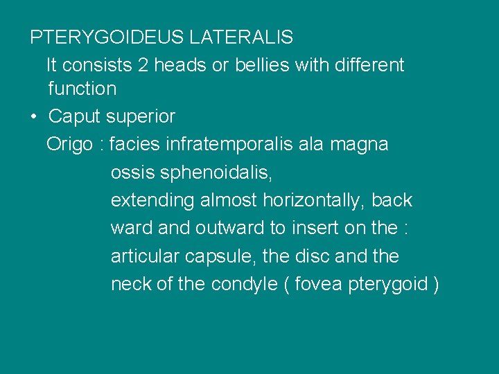 PTERYGOIDEUS LATERALIS It consists 2 heads or bellies with different function • Caput superior