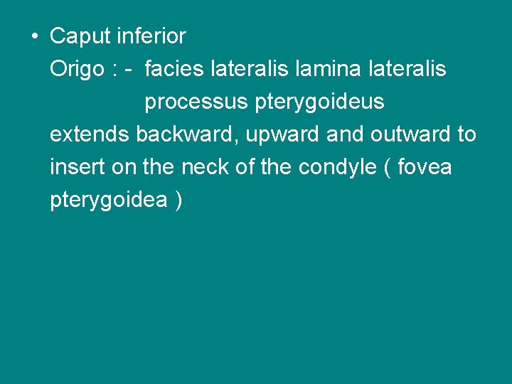  • Caput inferior Origo : - facies lateralis lamina lateralis processus pterygoideus extends