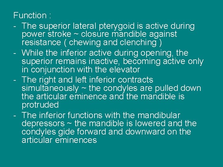 Function : - The superior lateral pterygoid is active during power stroke ~ closure