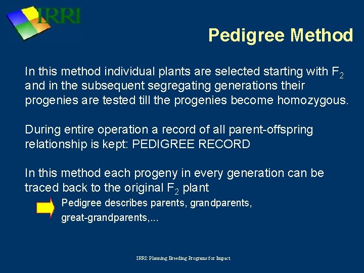 Planning rice breeding programs for impact Pedigree Selection