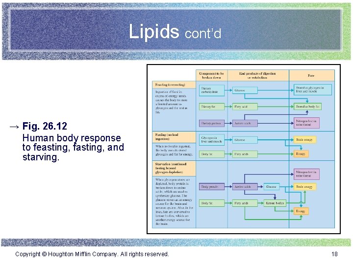 Lipids cont’d → Fig. 26. 12 Human body response to feasting, fasting, and starving.