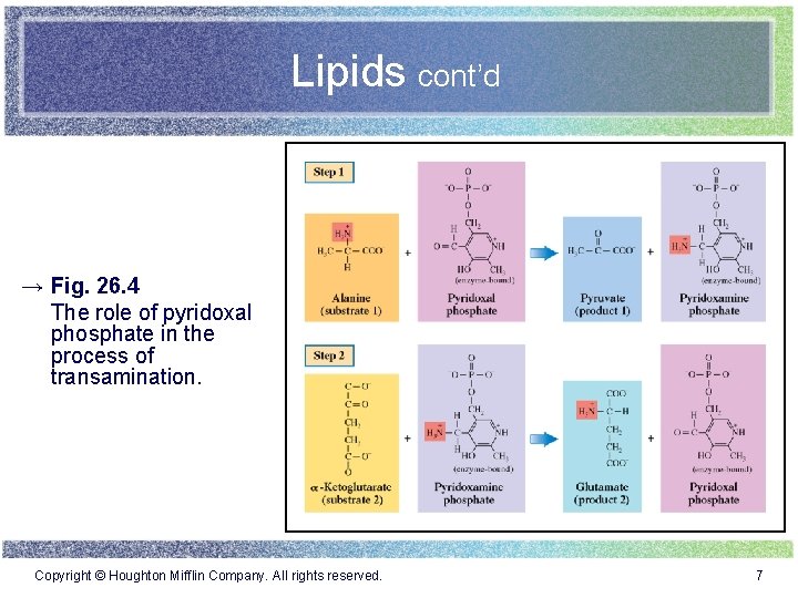 Lipids cont’d → Fig. 26. 4 The role of pyridoxal phosphate in the process