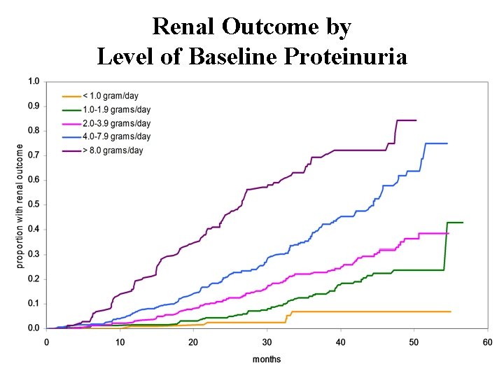 Renal Outcome by Level of Baseline Proteinuria 