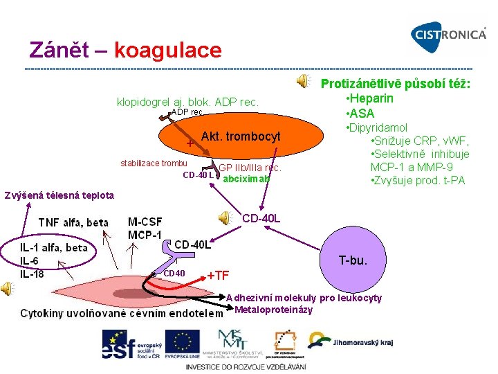 Zánět – koagulace klopidogrel aj. blok. ADP rec. + Akt. trombocyt stabilizace trombu GP