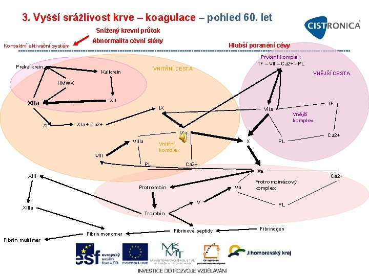 3. Vyšší srážlivost krve – koagulace – pohled 60. let Snížený krevní průtok Kontaktní