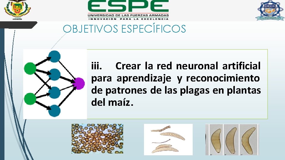 OBJETIVOS ESPECÍFICOS iii. Crear la red neuronal artificial para aprendizaje y reconocimiento de patrones