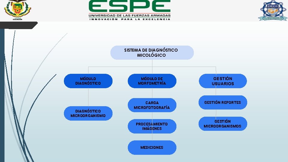 SISTEMA DE DIAGNÓSTICO MICOLÓGICO MÓDULO DIAGNÓSTICO MICROORGANISMO MÓDULO DE MORFOMETRÍA GESTIÓN USUARIOS CARGA MICROFOTOGRAFÍA