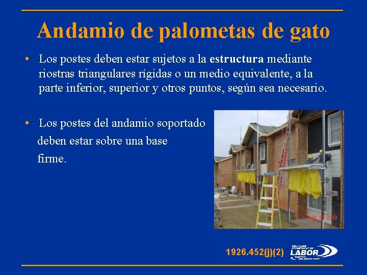Andamio de palometas de gato • Los postes deben estar sujetos a la estructura