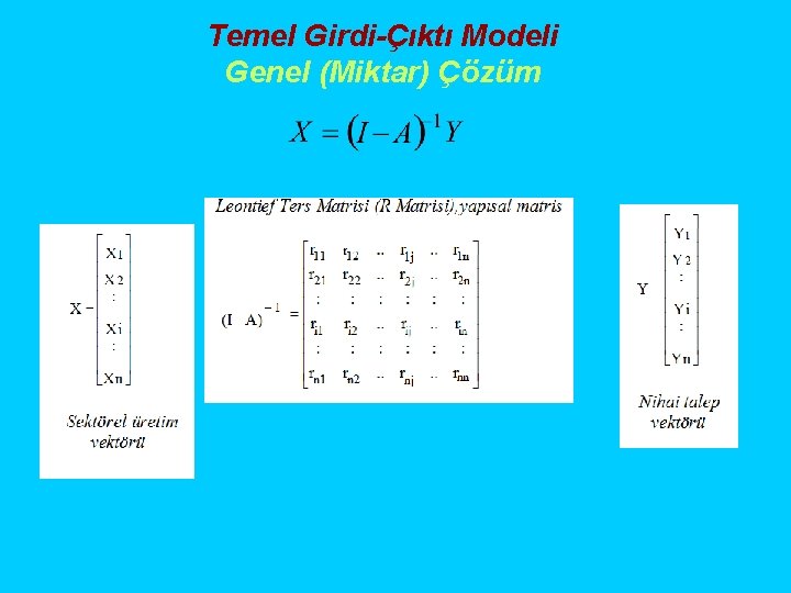 Temel Girdi-Çıktı Modeli Genel (Miktar) Çözüm 