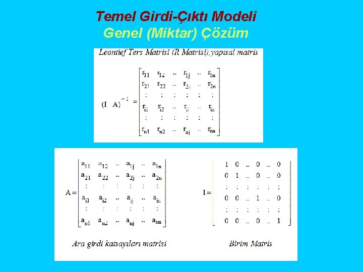 Temel Girdi-Çıktı Modeli Genel (Miktar) Çözüm 