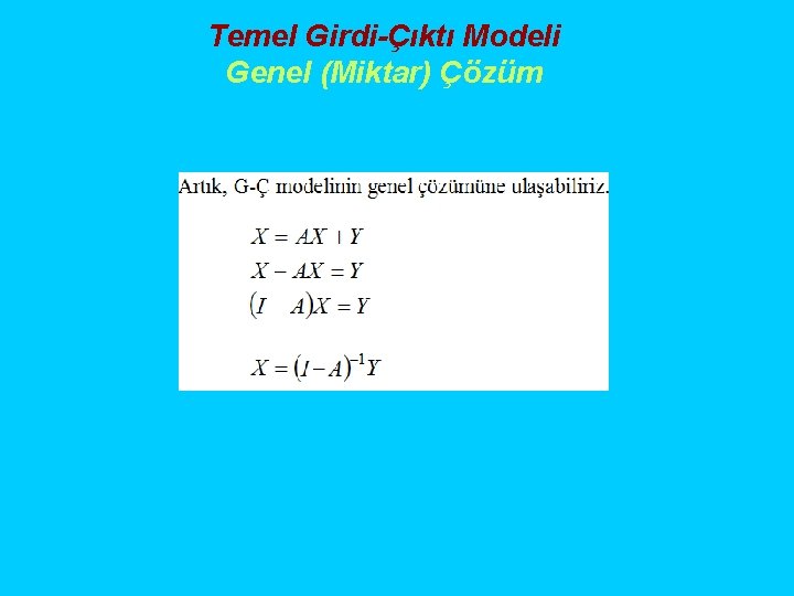 Temel Girdi-Çıktı Modeli Genel (Miktar) Çözüm 