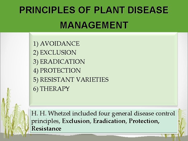 PRINCIPLES OF PLANT DISEASE MANAGEMENT 1) AVOIDANCE 2) EXCLUSION 3) ERADICATION 4) PROTECTION 5)