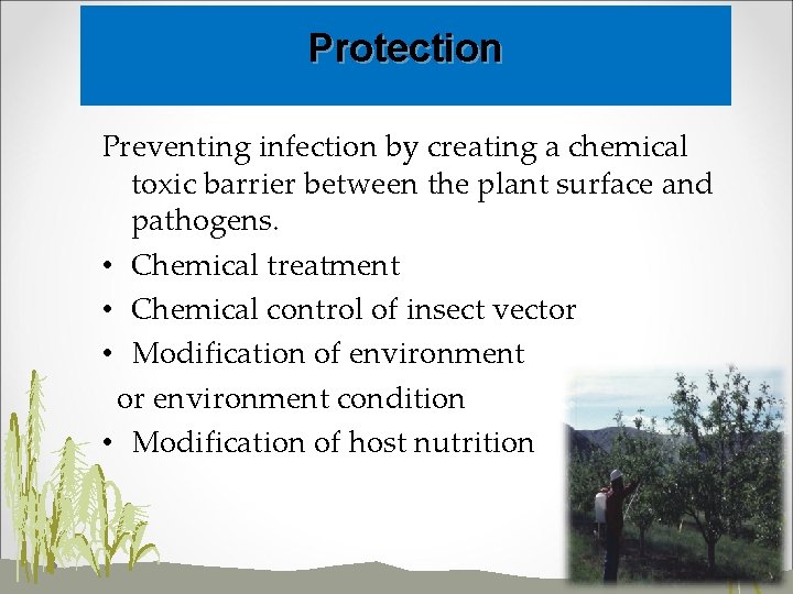 Protection Preventing infection by creating a chemical toxic barrier between the plant surface and