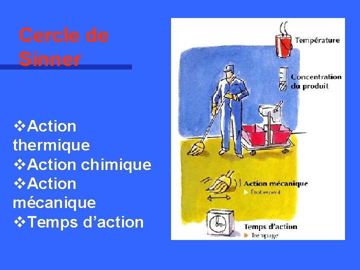 Cercle de Sinner v. Action thermique v. Action chimique v. Action mécanique v. Temps