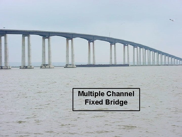 Multiple Channel Fixed Bridge 18 