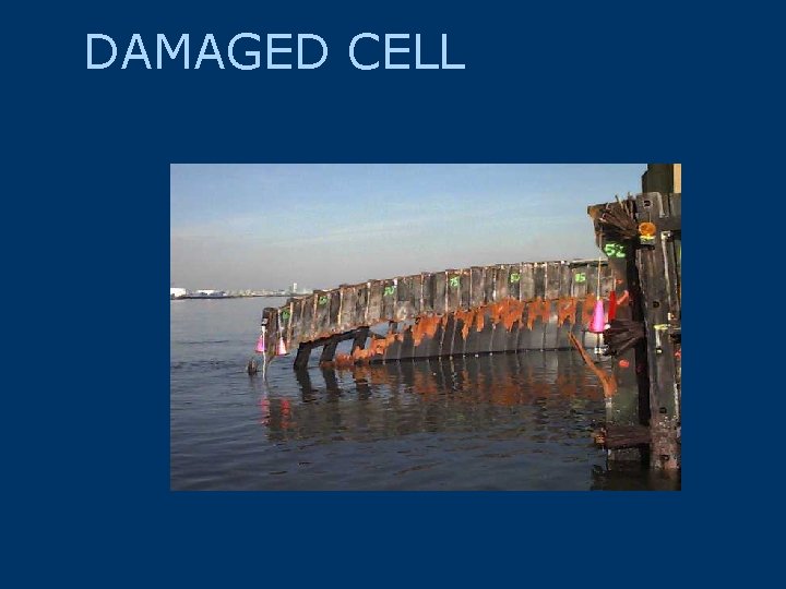 DAMAGED CELL 