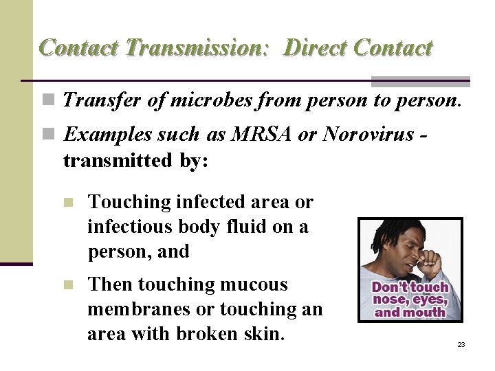 Contact Transmission: Direct Contact n Transfer of microbes from person to person. n Examples