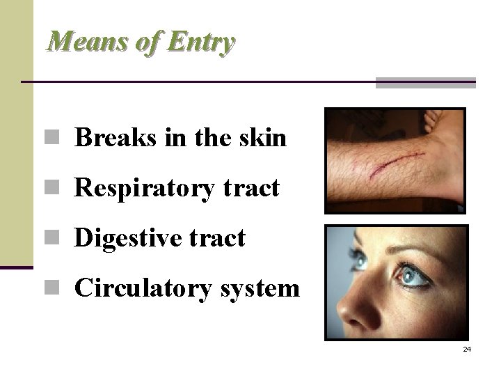 Means of Entry n Breaks in the skin n Respiratory tract n Digestive tract