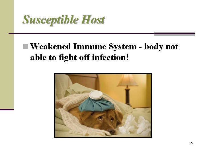 Susceptible Host n Weakened Immune System - body not able to fight off infection!