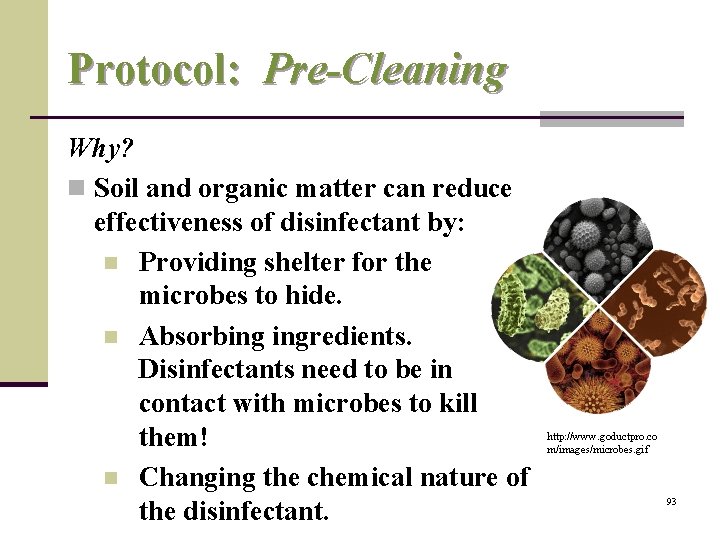 Protocol: Pre-Cleaning Why? n Soil and organic matter can reduce effectiveness of disinfectant by: