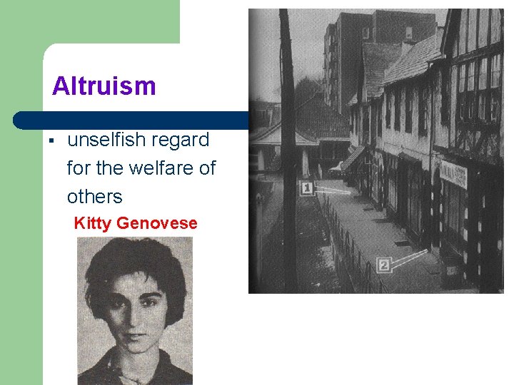 Altruism § unselfish regard for the welfare of others Kitty Genovese 