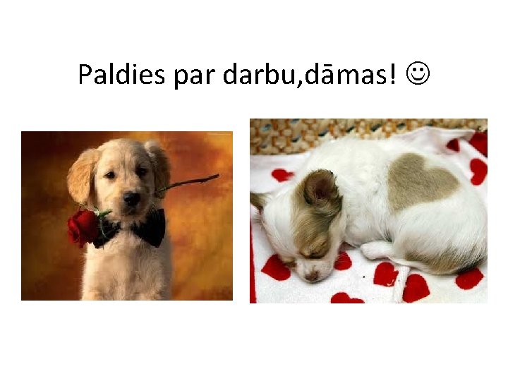 Paldies par darbu, dāmas! 