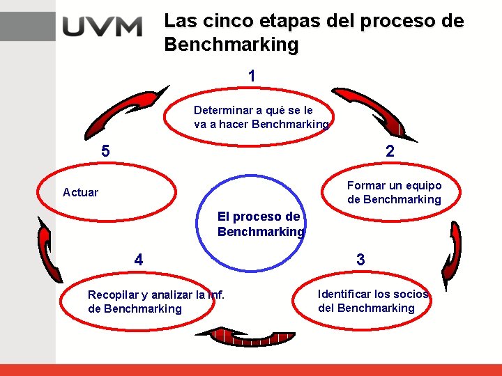 Las cinco etapas del proceso de Benchmarking 1 Determinar a qué se le va