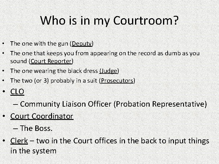 Who is in my Courtroom? • The one with the gun (Deputy) • The