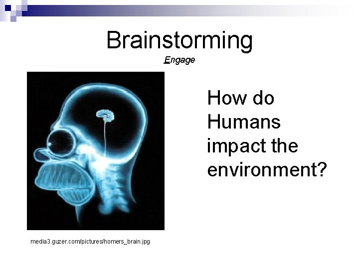 Brainstorming Engage How do Humans impact the environment? media 3. guzer. com/pictures/homers_brain. jpg 