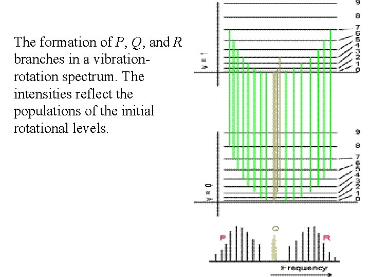 The formation of P, Q, and R branches in a vibrationrotation spectrum. The intensities