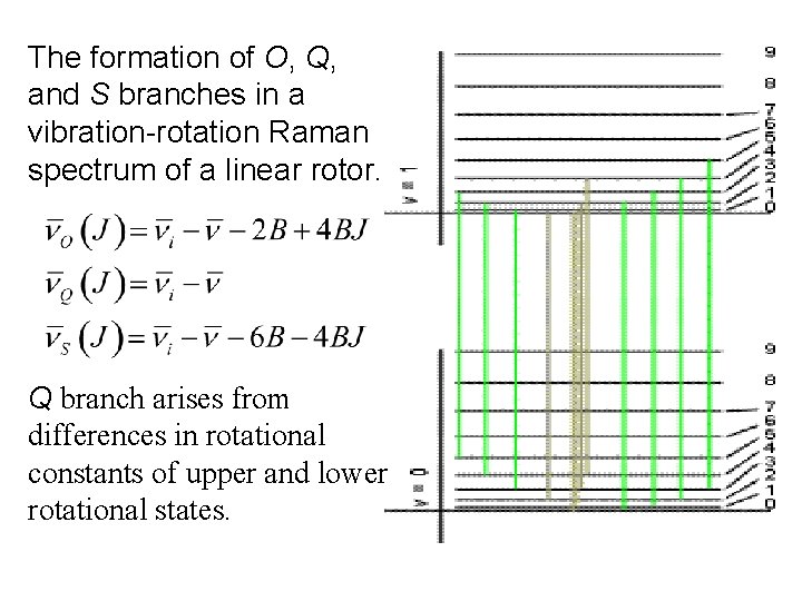 The formation of O, Q, and S branches in a vibration-rotation Raman spectrum of