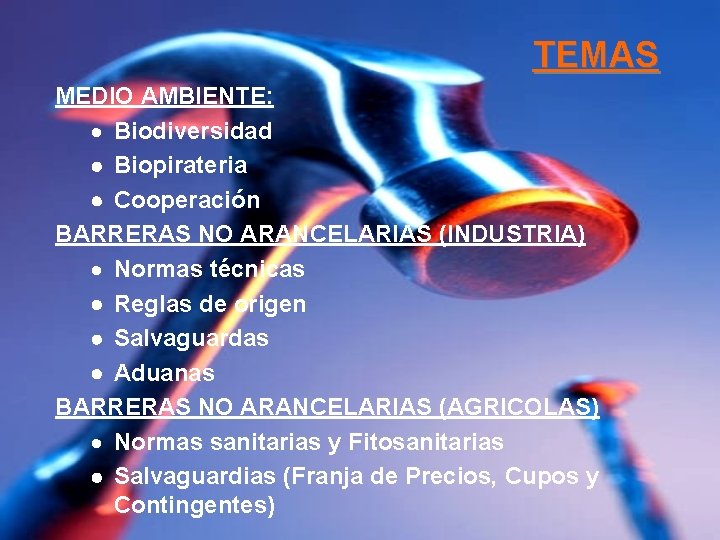 TEMAS MEDIO AMBIENTE: · Biodiversidad Biopirateria Cooperación BARRERAS NO ARANCELARIAS (INDUSTRIA) · Normas técnicas