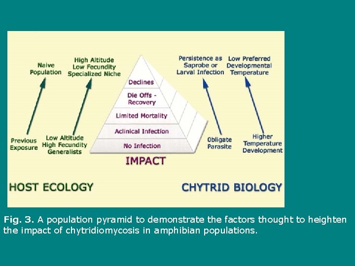  Fig. 3. A population pyramid to demonstrate the factors thought to heighten the