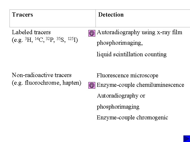 Tracers Detection Labeled tracers (e. g. 3 H, 14 C, 32 P, 35 S,