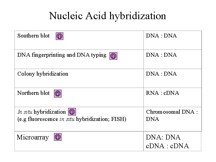 Nucleic Acid hybridization Southern blot DNA : DNA fingerprinting and DNA typing DNA :