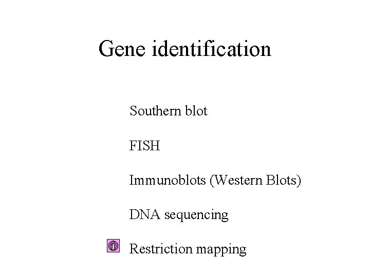 Gene identification Southern blot FISH Immunoblots (Western Blots) DNA sequencing Restriction mapping Gene identification Southern blot FISH Immunoblots (Western Blots) DNA sequencing Restriction mapping