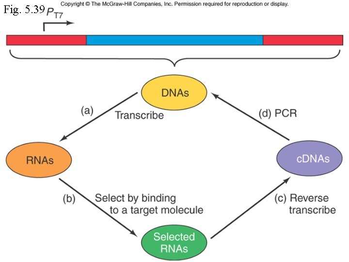 Fig. 5. 39 Fig. 5. 39