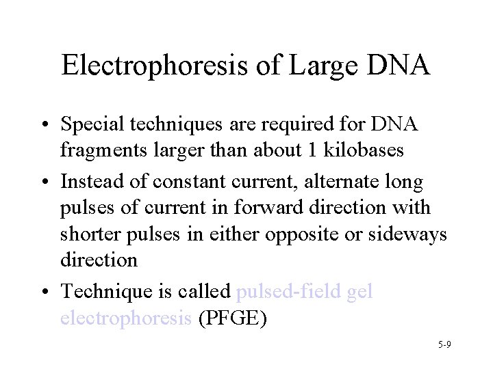 Electrophoresis of Large DNA • Special techniques are required for DNA fragments larger than