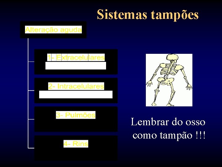 Sistemas tampões Lembrar do osso como tampão !!! 