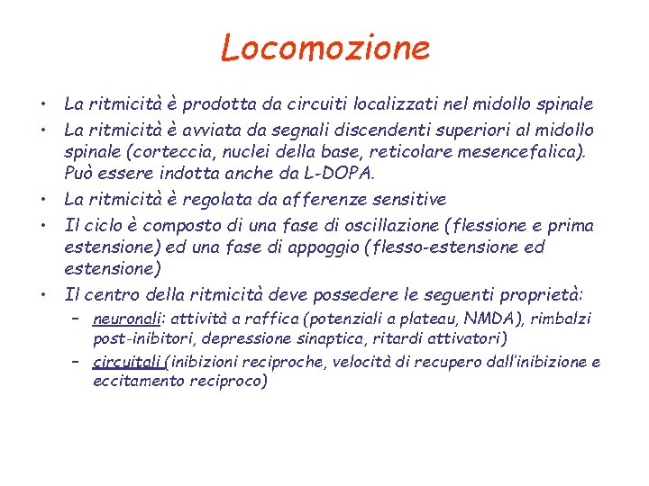 Locomozione • La ritmicità è prodotta da circuiti localizzati nel midollo spinale • La