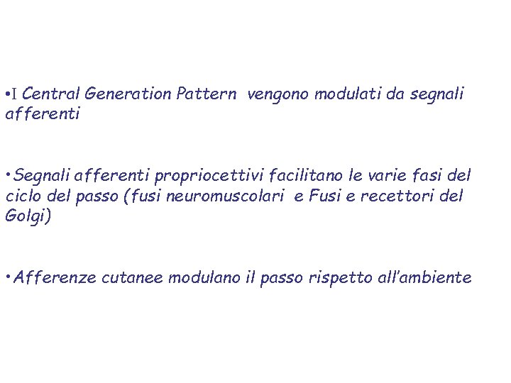  • I Central Generation Pattern vengono modulati da segnali afferenti • Segnali afferenti