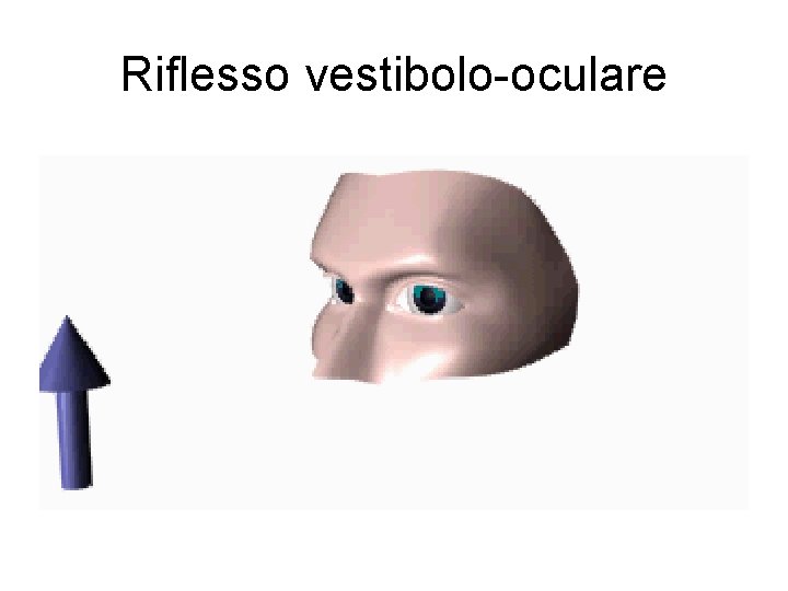 Riflesso vestibolo-oculare 