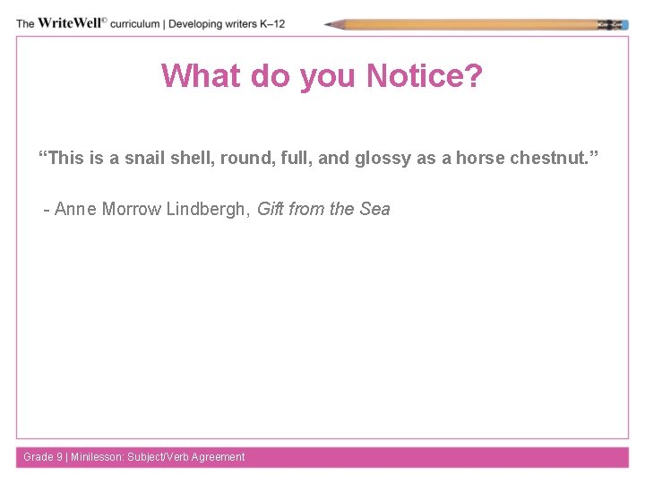 What do you Notice? “This is a snail shell, round, full, and glossy as