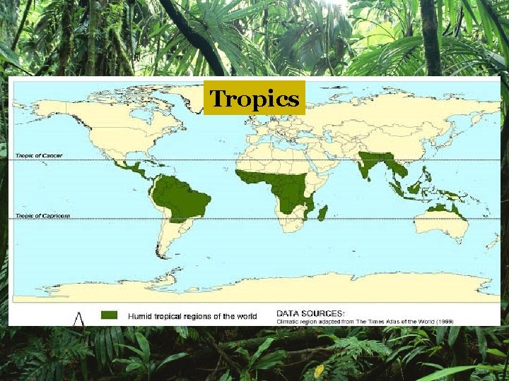 Tropics 