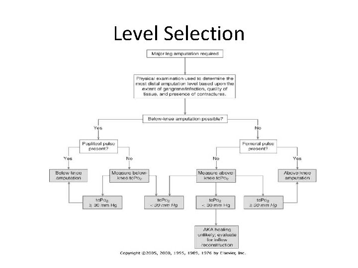 Level Selection 
