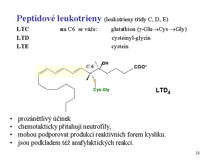 Peptidové leukotrieny (leukotrieny třídy C, D, E) LTC LTD LTE glutathion ( -Glu Cys