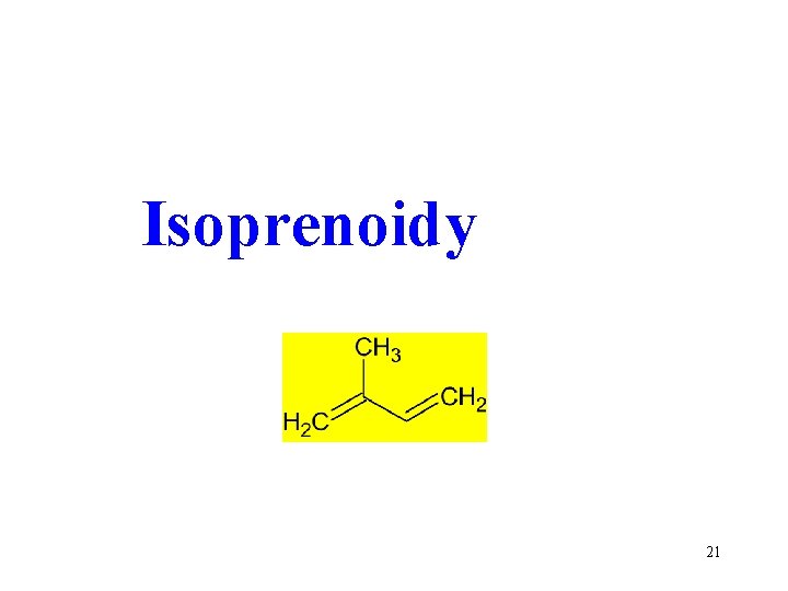 Isoprenoidy 21 